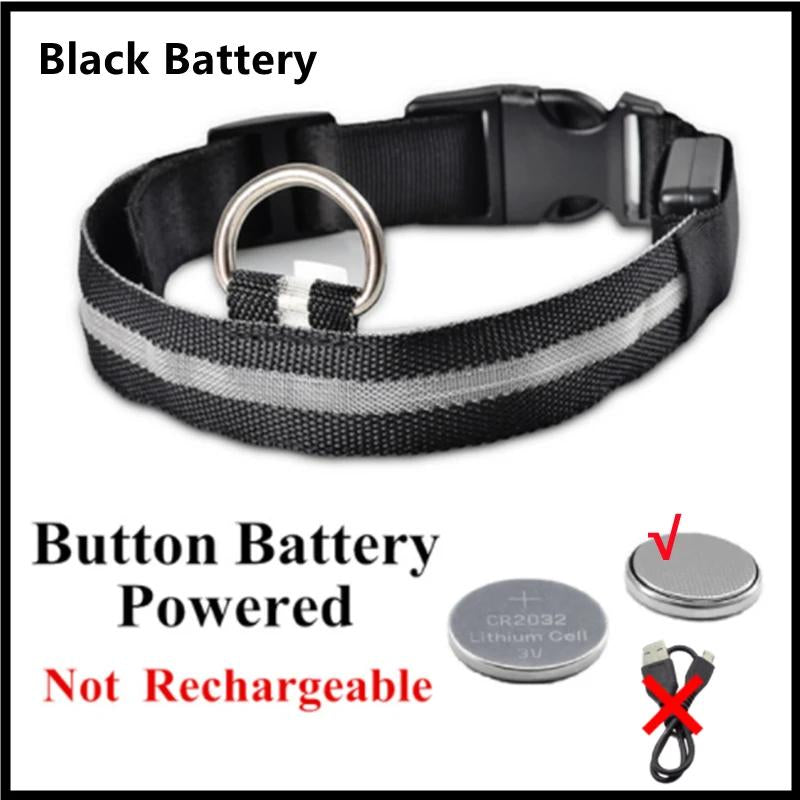 Illuminated LED Dog Collar