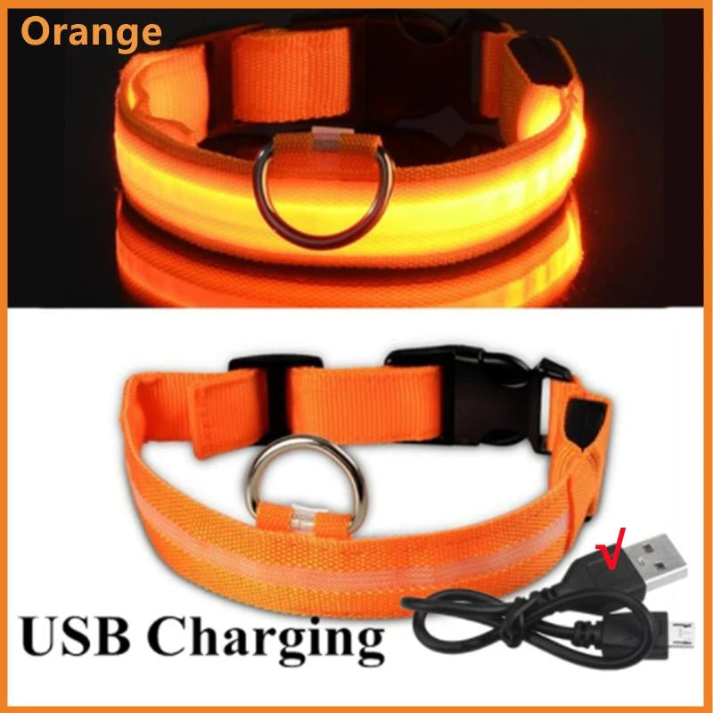 Illuminated LED Dog Collar