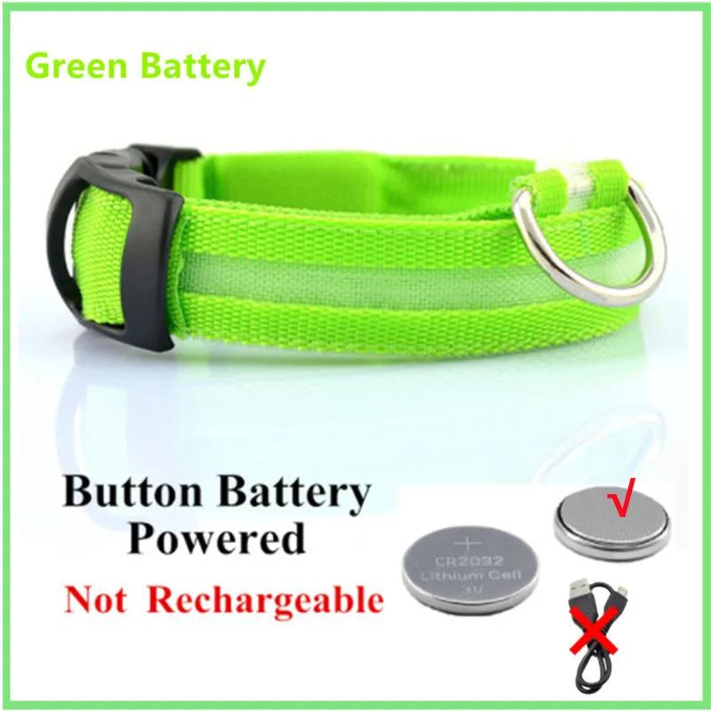 Illuminated LED Dog Collar
