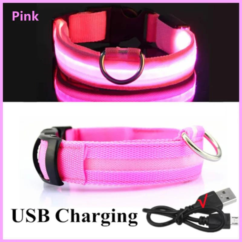 Illuminated LED Dog Collar