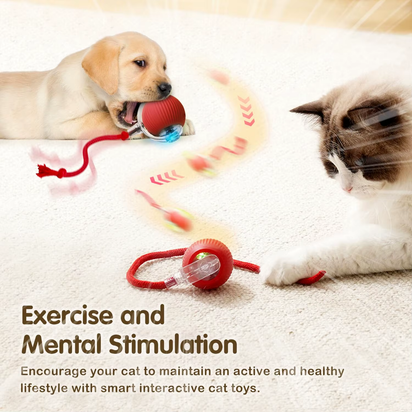 Automatic Rolling Cat Toy with Tail - Rechargeable Interactive Smart Mouse for Cats