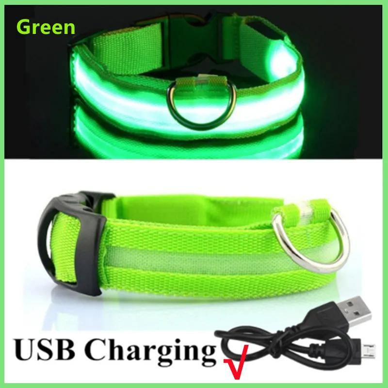 Illuminated LED Dog Collar