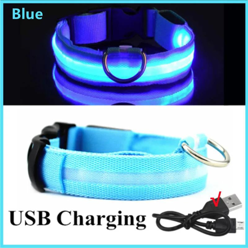 Illuminated LED Dog Collar