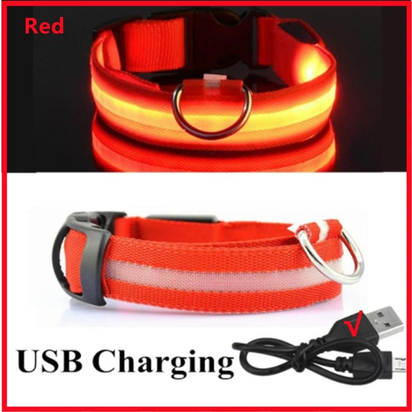 Illuminated LED Dog Collar