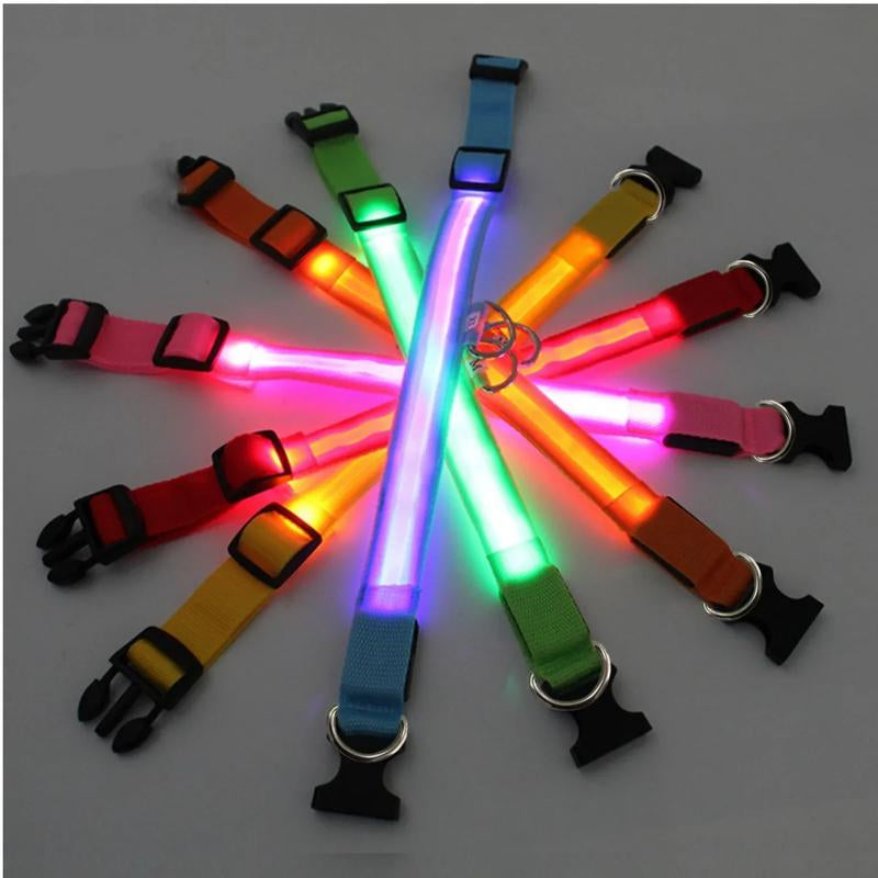 Illuminated LED Dog Collar