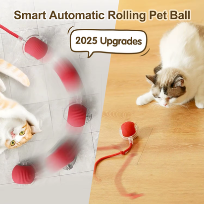 Automatic Rolling Cat Toy with Tail - Rechargeable Interactive Smart Mouse for Cats