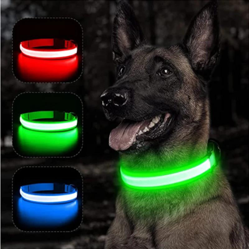 Illuminated LED Dog Collar