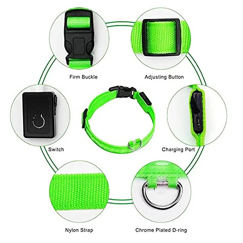 Illuminated LED Dog Collar