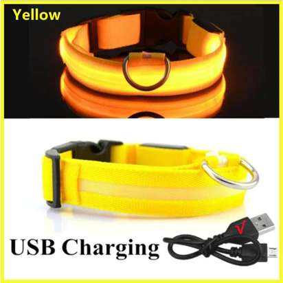 Illuminated LED Dog Collar