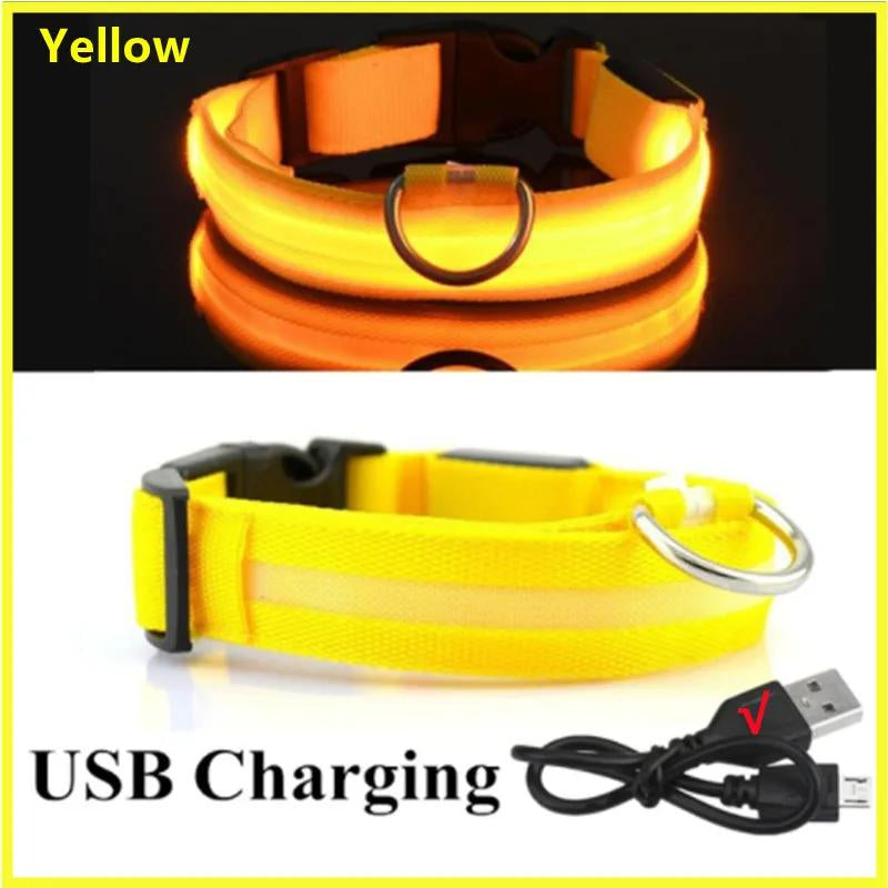 Illuminated LED Dog Collar