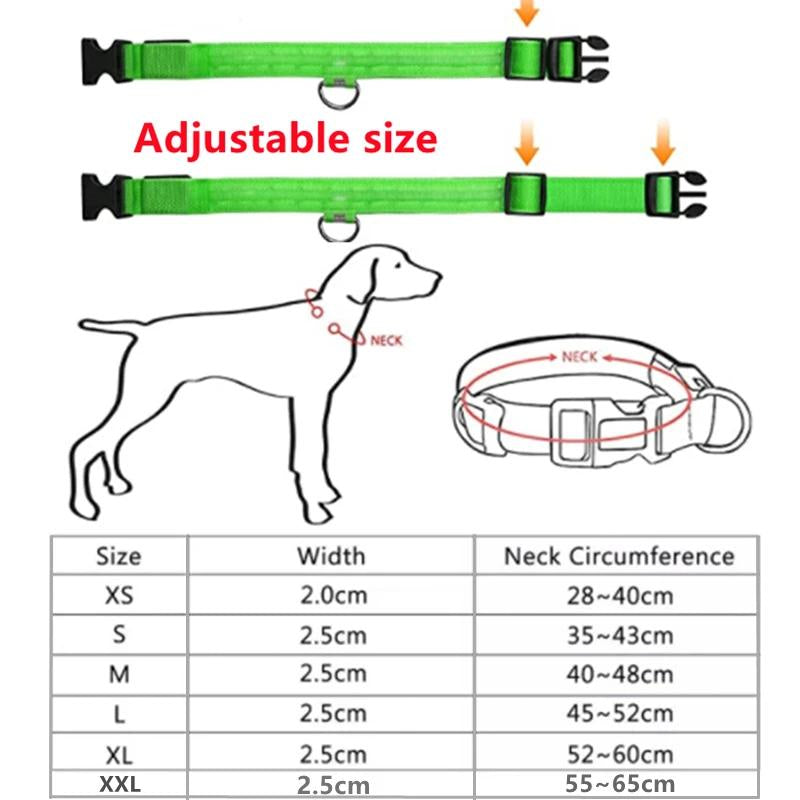 Illuminated LED Dog Collar