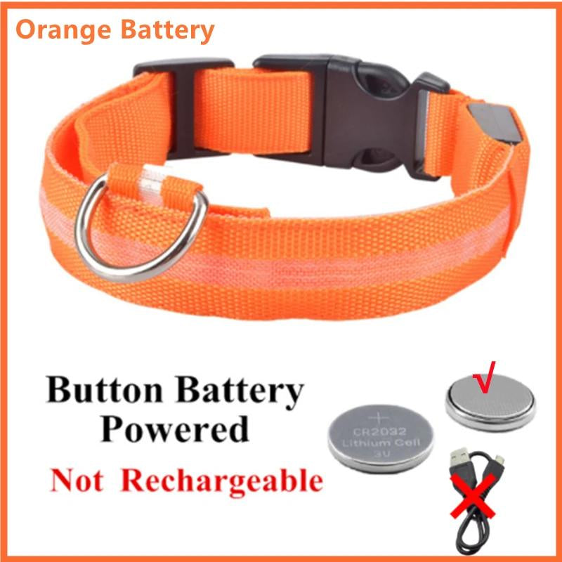 Illuminated LED Dog Collar