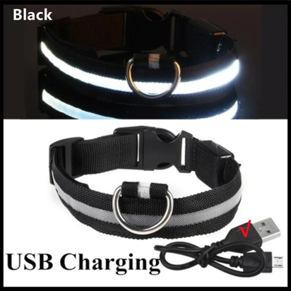 Illuminated LED Dog Collar