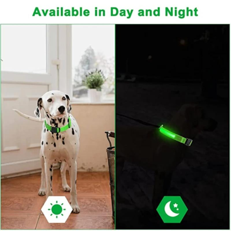 Illuminated LED Dog Collar