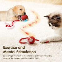 Automatic Rolling Cat Toy with Tail - Rechargeable Interactive Smart Mouse for Cats