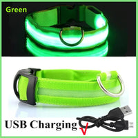 Illuminated LED Dog Collar