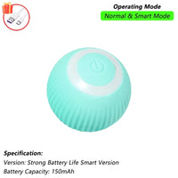 Automatic Rolling Cat Toy with Tail - Rechargeable Interactive Smart Mouse for Cats