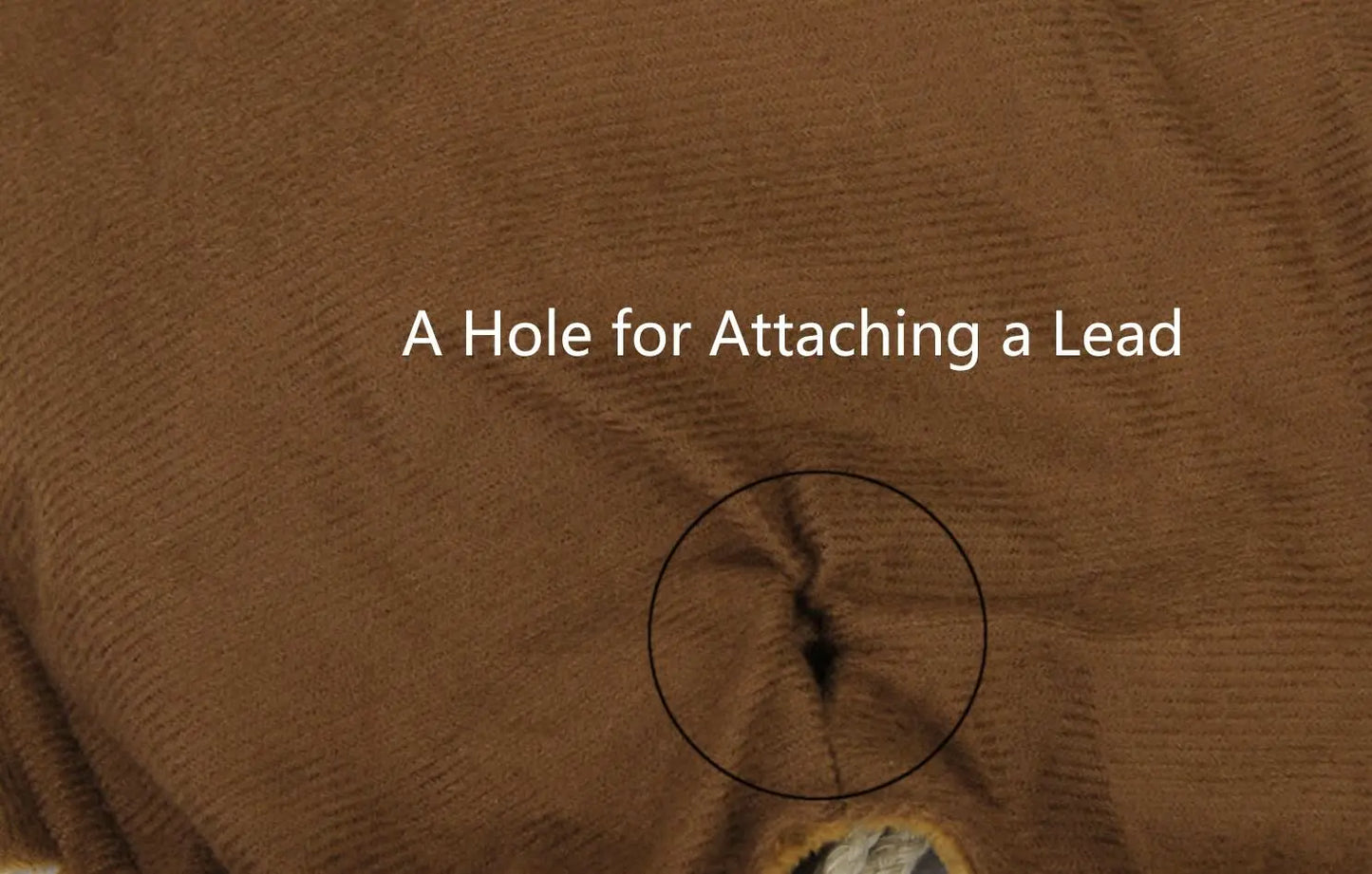 CuddTail™ Cowboy Rider Dog Costume – Funny Pet Outfit for Halloween, Parties & Photoshoots