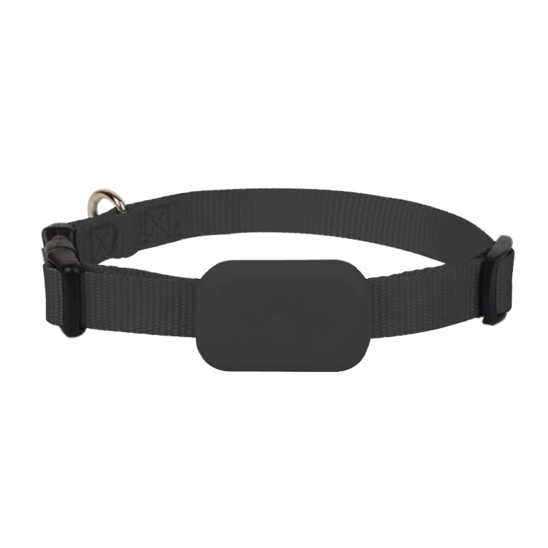 Pet Tracker Collar