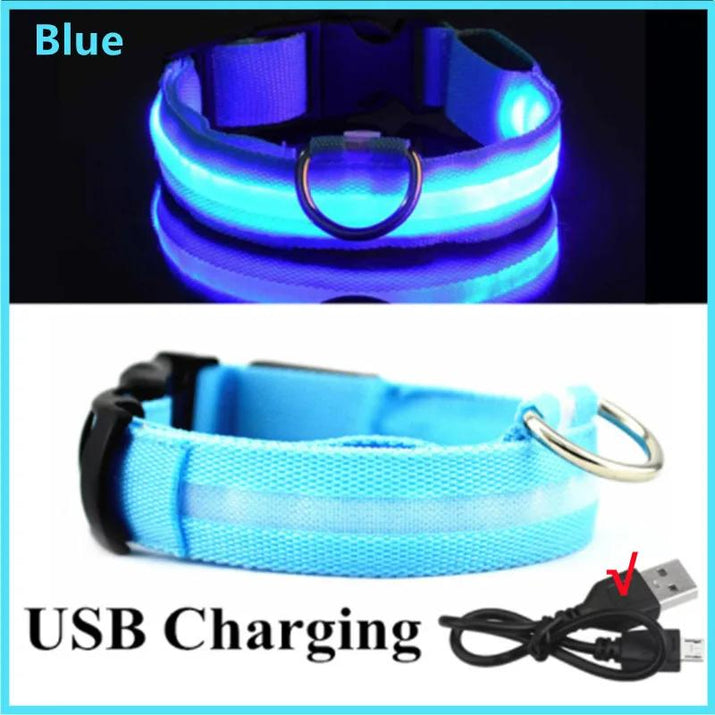 Illuminated LED Dog Collar
