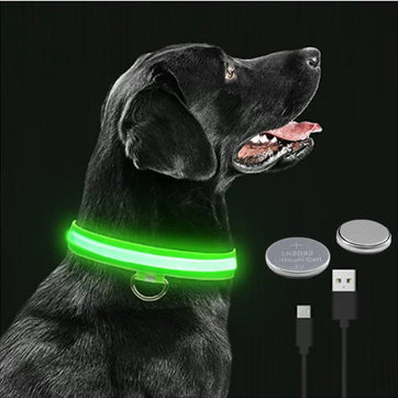 Illuminated LED Dog Collar