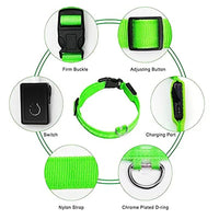 Illuminated LED Dog Collar